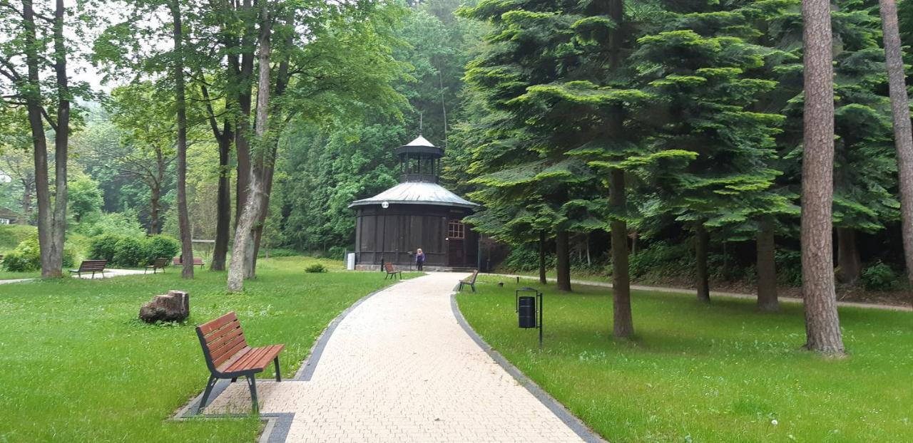 Apartament ZOYA + garaż Krynica-Zdrój Zewnętrze zdjęcie